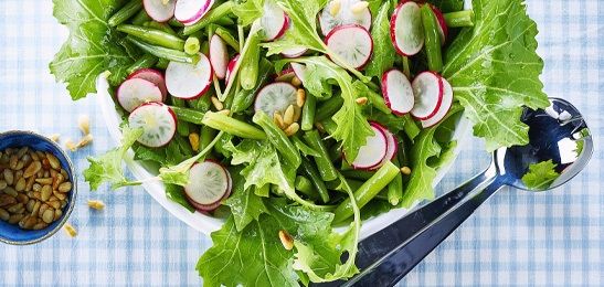 Salade met heerlijke biologische vleesvervanger nu voor 60 euro incl. een gratis reading of spiritueel coaching speciaal vip arrangementen beschikbaar.